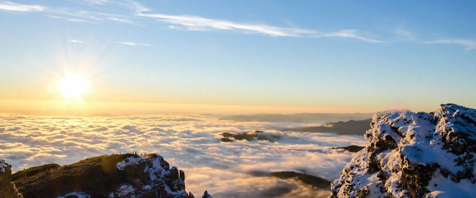 눈길을 끄는 디자인